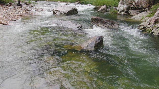 Flowing river with rocks and greenery