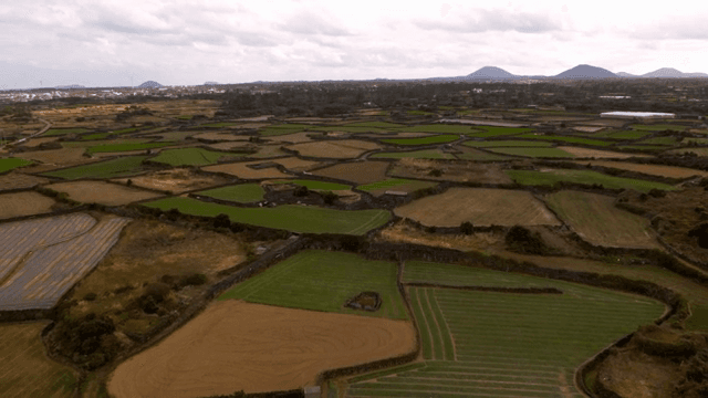 Jeju Island's vast farmland