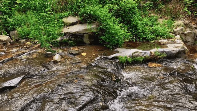 Small stream flowing over rocks
