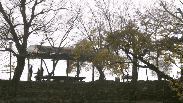 People in a park under autumn trees