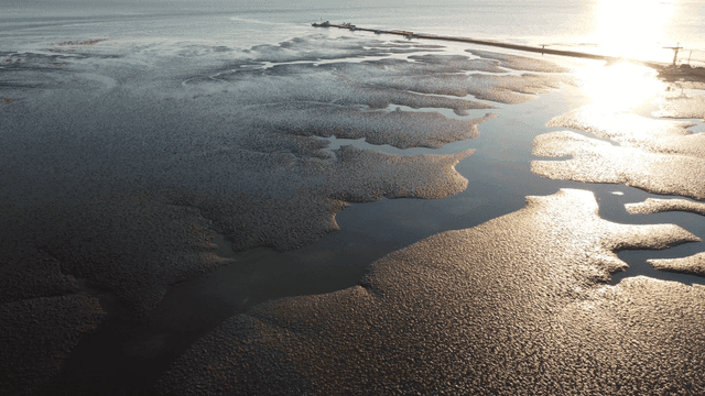 Calm beaches and mudflats