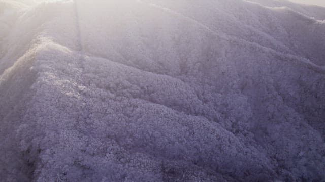 Mountains Covered White with Snow at Dawn