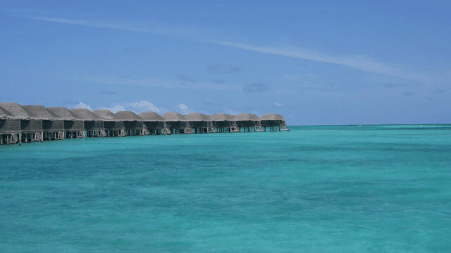 Overwater bungalows on a clear blue sea