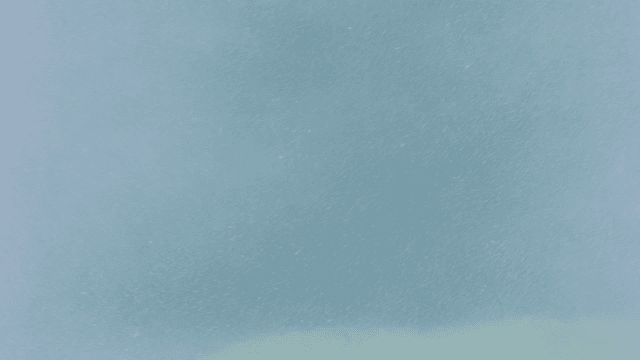 Clear river full of fish