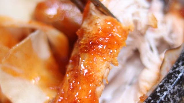 Shredded Chicken with Glossy Sauce Close-Up
