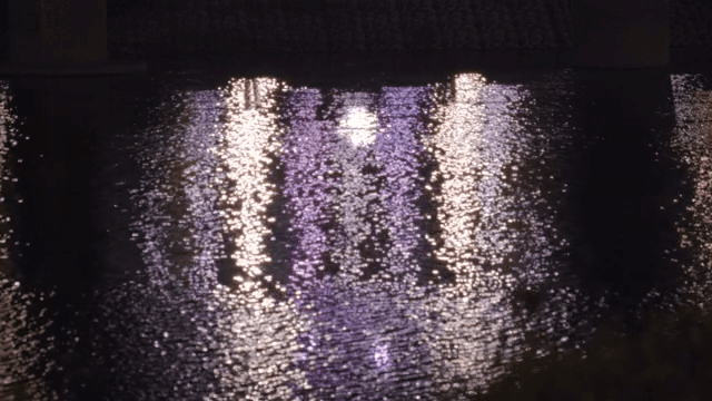 물 위에 비친 불빛