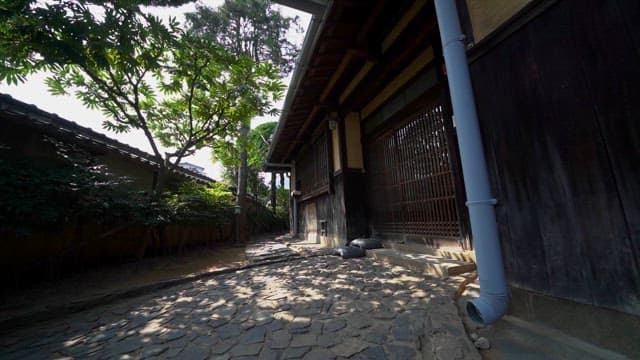 햇볕이 드는 일본 전통 가옥