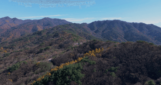 무성한 가을 산의 경치