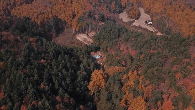 House in a quiet forest with autumn leaves