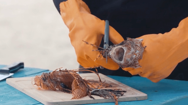 도마 위에서 가위를 사용해 생선을 손질하는 모습