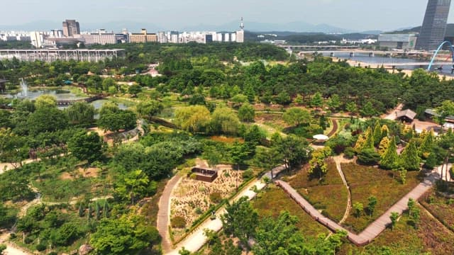 멀게 보이는 도시를 배경으로 한 푸른 공원