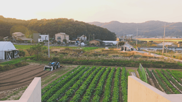 트랙터와 녹색 밭이 있는 농장