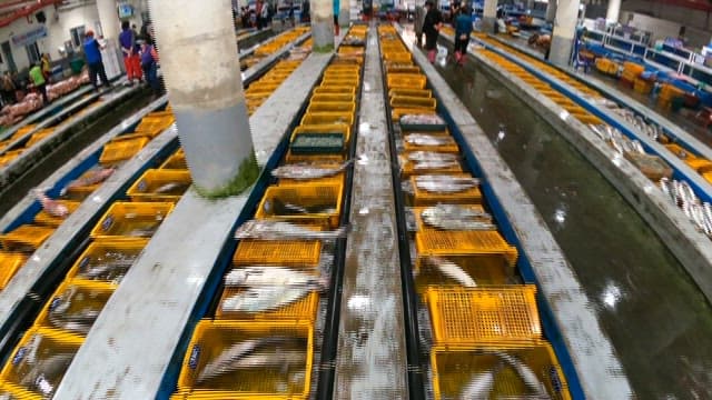 Busy Seafood Market with Fresh Catch