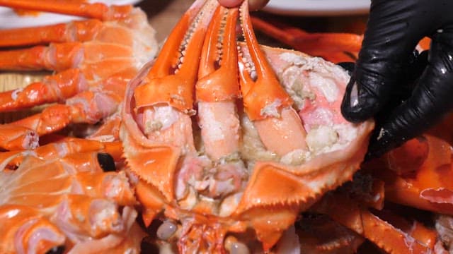내장에 찍은 잘 쪄진 대게 집게발