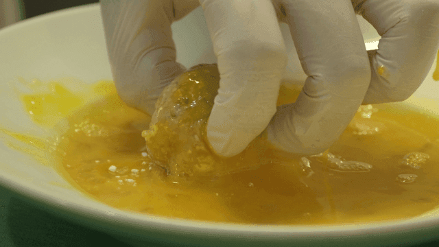 Scene of gloved hand dipping fried food into egg water