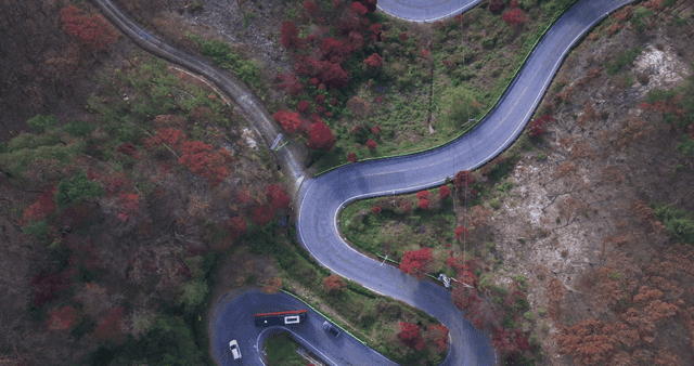 가을 단풍이 있는 구불구불한 숲길