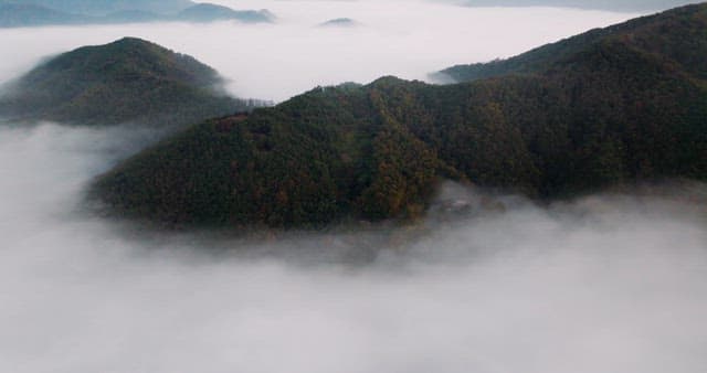 Misty Mountain Peaks at Dawn