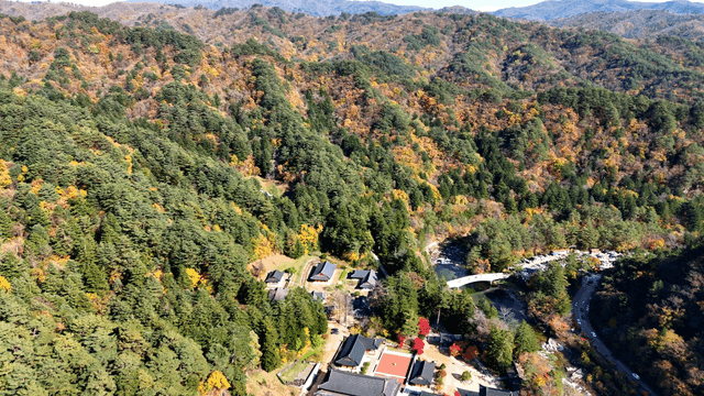 Aerial view of autumn foliage forest where temple is located