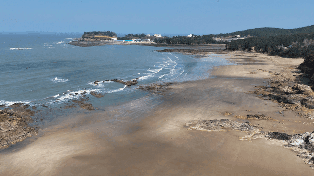 잔잔한 파도가 있는 고요한 해변