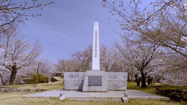 Cherry blossoms surrounding a monument