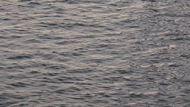 Gentle ripples on surface of calm water