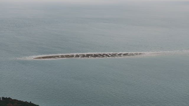 바다 가운데 하얗게 보이는 모래톱