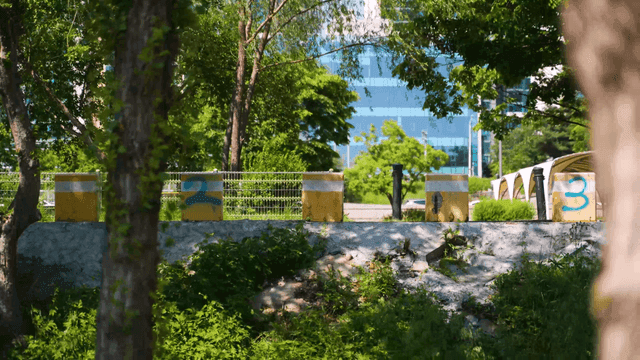 Green park with city buildings in the background