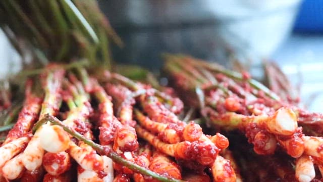 매콤한 고추 양념으로 먹음직스럽게 버무려진 파김치