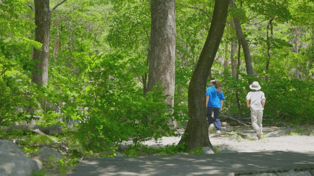 산길을 뛰어 내려가는 아이들