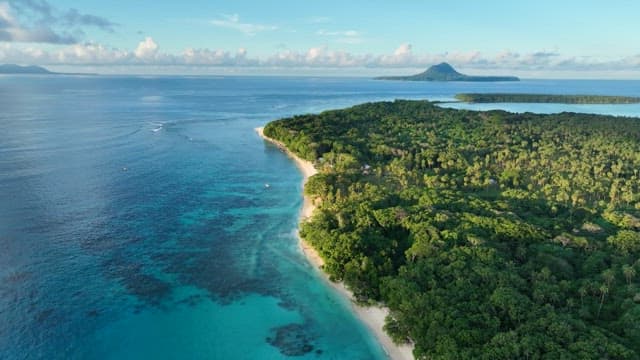 Aerial view of a tropical island with lush greenery and clear blue waters