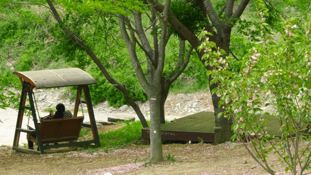 공원에서 그네에 앉아 있는 커플