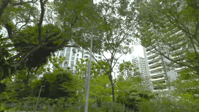 Tall buildings surrounded by lush greenery