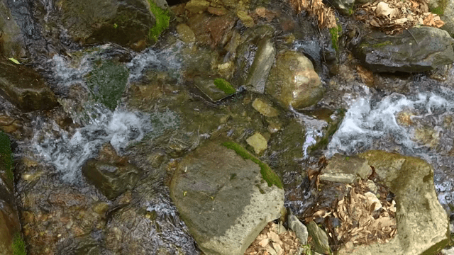 바위 위로 흐르는 고요한 시냇물