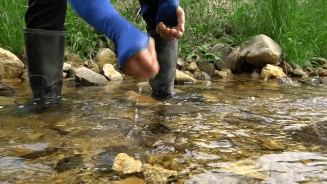 맑은 시냇물에서 다슬기를 줍는 손