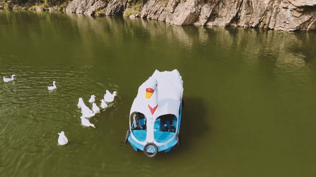 오리와 함께 호수 위 오리 모양 보트