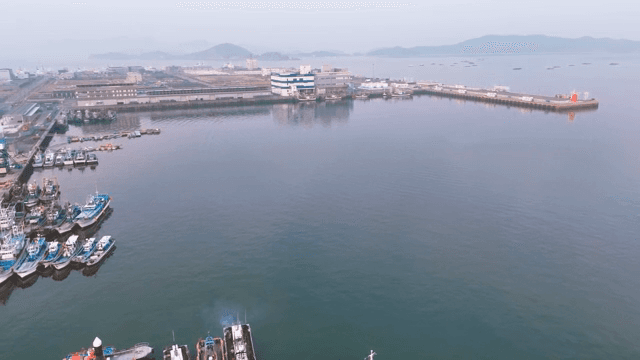 Busy harbor with numerous docked boats