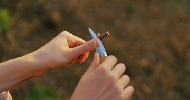 Hands Whittling Wood in a Field with Knife