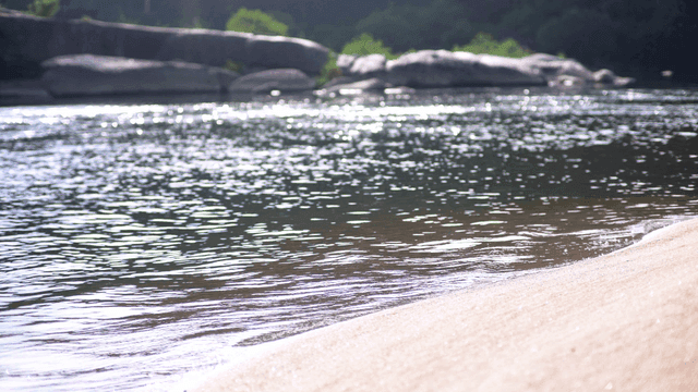 잔잔한 물결이 있는 고요한 강