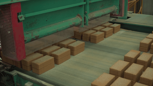 Bricks moving on a conveyor belt