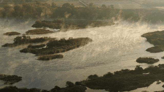 고요한 강 풍경 위의 아침 안개