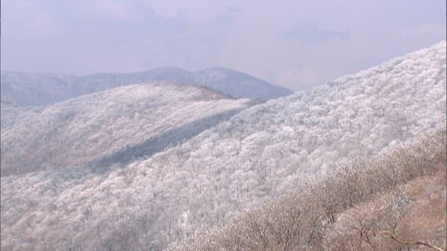 안개 낀 날씨의 눈 덮인 산