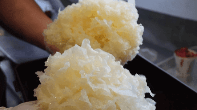 주방에서 손에 든 백목이버섯