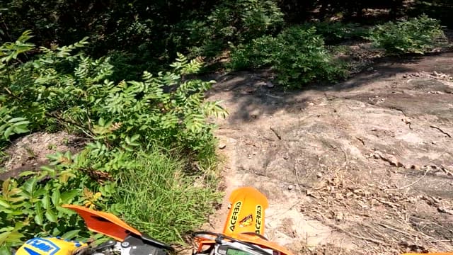 숲속 오프로드 모터사이클 모험