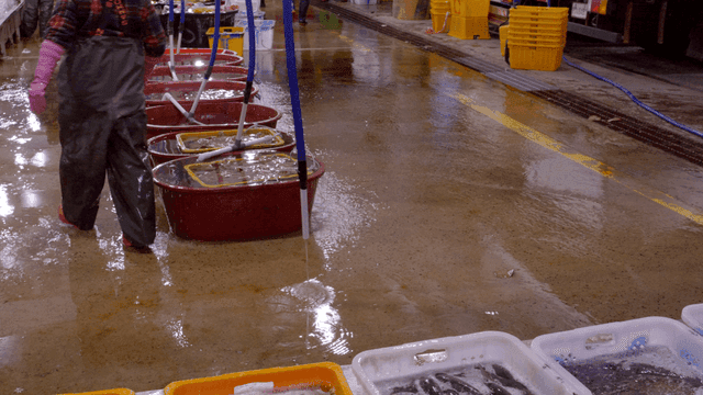 Worker managing water tanks in market