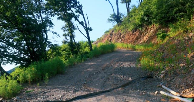 햇빛이 비치는 숲 속 구불구불한 길