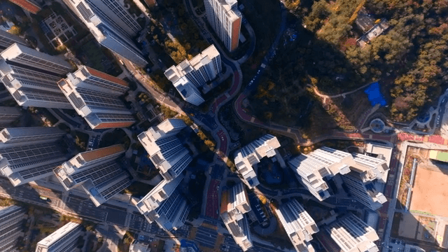 고층 건물과 주변 녹지