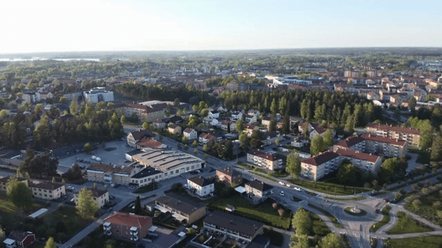 녹지가 있는 교외 지역의 항공 뷰