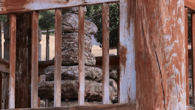 Traditional stone pagoda behind wooden fence