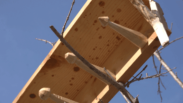 나뭇가지 위의 나무 거치대 선반