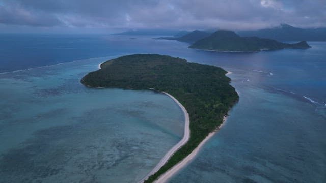 Tropical island with lush green forests surrounded by a vast ocean